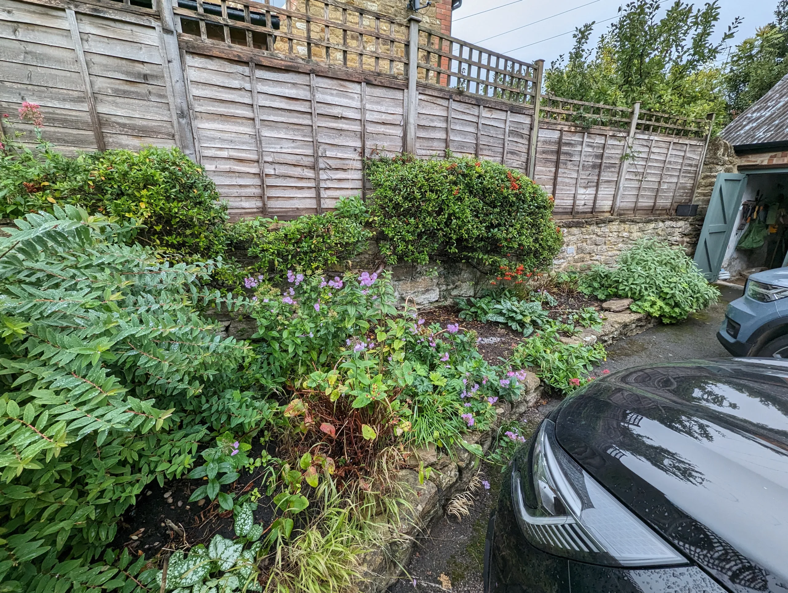 Before photo of garden border